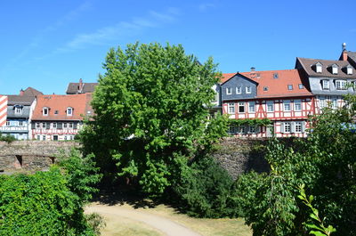 Trees and buildings in town against blue sky