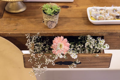 High angle view of potted plant on table