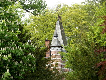 Low angle view of building and trees in forest