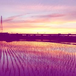 Scenic view of field against sky during sunset