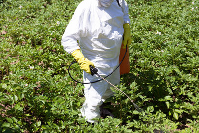 Midsection of farmer spraying insecticide on plants at agricultural field