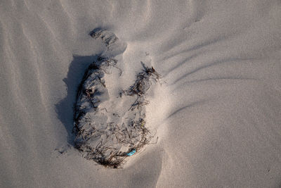 High angle view of sand on beach