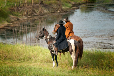 Horse standing on field