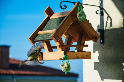 Bird hovering around birdhouse outdoors
