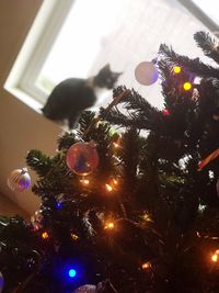 Close-up of illuminated christmas tree at home