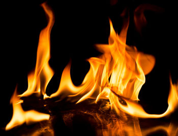 Close-up of bonfire at night