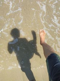 High angle view of couple shadow on water at beach