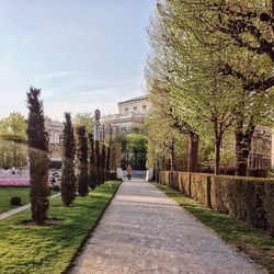 Footpath leading to building