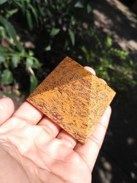 Close-up of person holding leaf