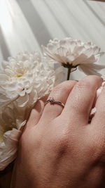 Close-up of woman hand by white flowering plants