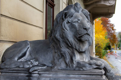 Close-up of statue