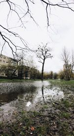 Reflection of bare trees in lake against sky
