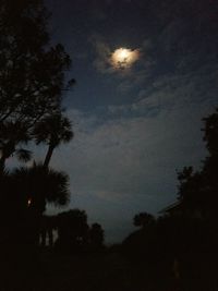 Low angle view of silhouette trees against sky at night