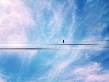 Low angle view of bird on cable against the sky