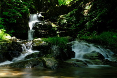 Scenic view of waterfall in forest