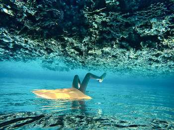 View of fish swimming in sea