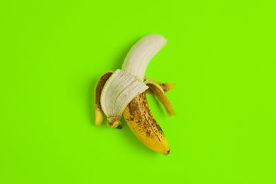 Close-up of banana leaf