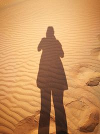 Shadow of man on sand dune in desert