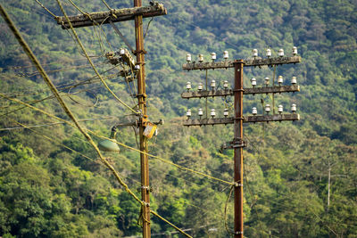 Electricity pylon on pole against trees