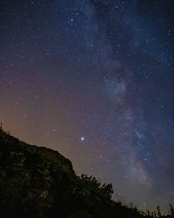 Low angle view of star field against sky at night