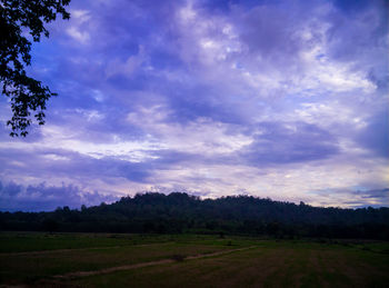 Scenic view of field against sky