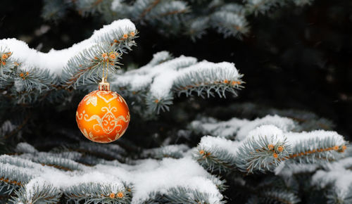 Close-up of frozen christmas tree during winter