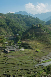 High angle view of rice field against sky