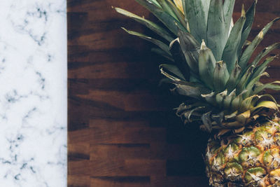 Close-up of fruit on table at home