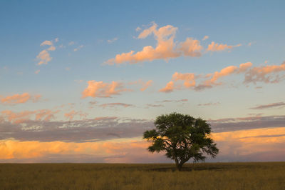 Scenic view of field against sky during sunset