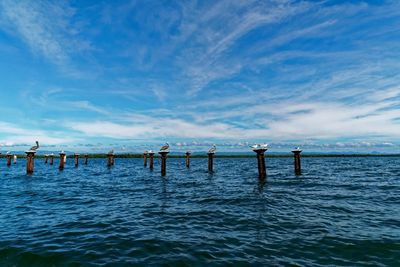 Wooden posts in sea against sky, nature reserve in the dominican republic