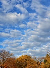 Low angle view of trees against sky during autumn