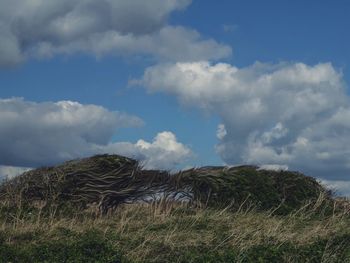 View of grassy landscape against cloudy sky