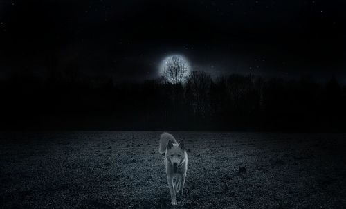 darkness
