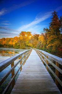 Narrow footbridge along trees during autumn