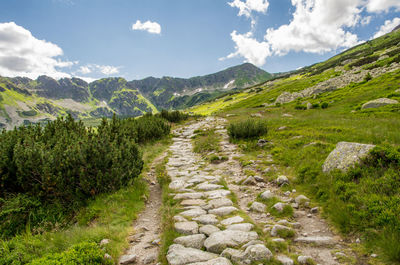 Scenic view of landscape and mountains against sky