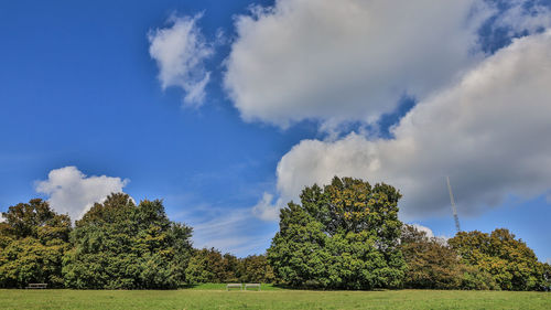 Trees on field against sky