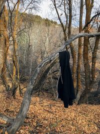 Black hoodie sweater hanging from tree in yellow fork and rose canyon trails in oquirrh mountains