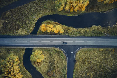 Road by trees on land