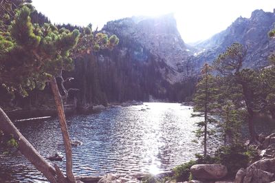 Scenic view of lake with trees in background