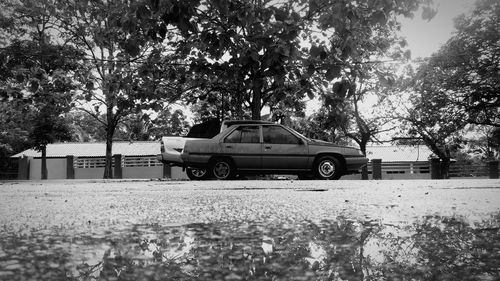 Car on field against trees in city