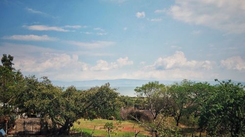 Scenic view of sea and trees against sky