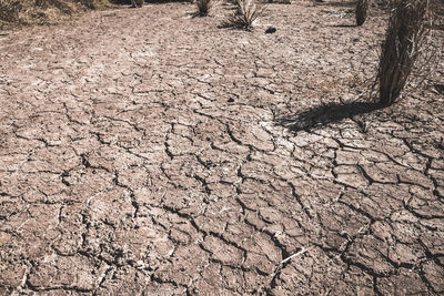 View of cracked land