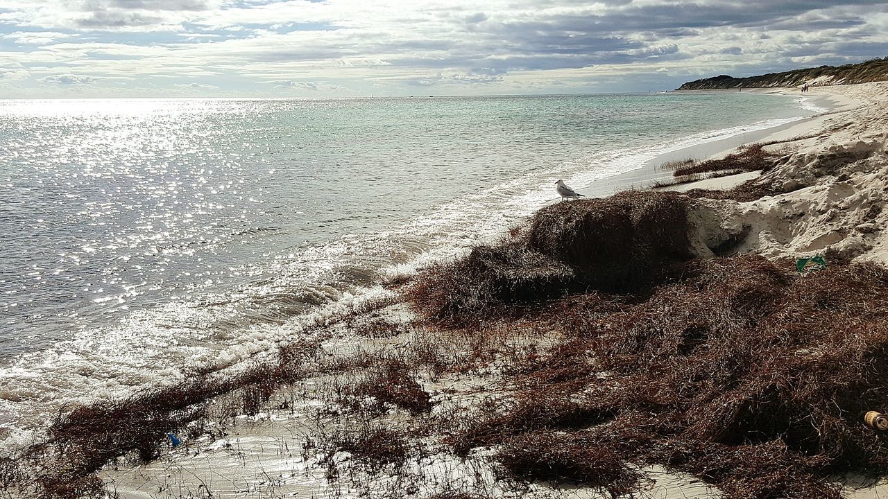 VIEW OF CALM SEA AGAINST SKY