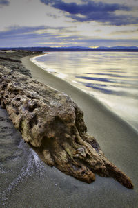 Scenic view of beach