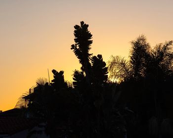 Silhouette trees against sky during sunset