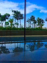 Palm trees by lake against sky