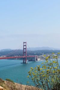 Suspension bridge over river