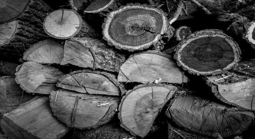 firewood