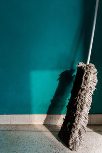 Dead plant against wall in swimming pool