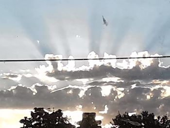 Low angle view of birds against sky